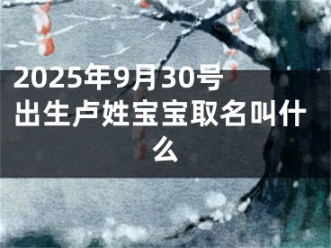 2025年9月30号出生卢姓宝宝取名叫什么