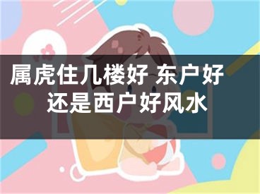 属虎住几楼好 东户好还是西户好风水