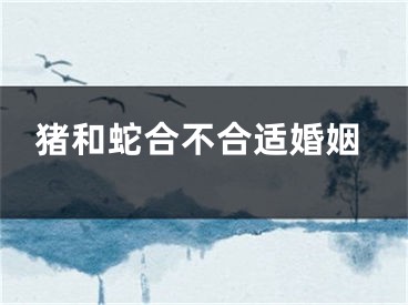 猪和蛇合不合适婚姻