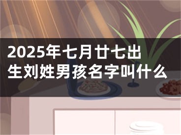 2025年七月廿七出生刘姓男孩名字叫什么