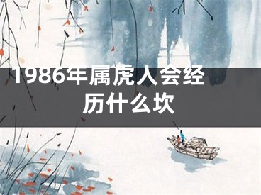1986年属虎人会经历什么坎