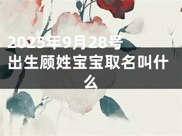 2025年9月28号出生顾姓宝宝取名叫什么