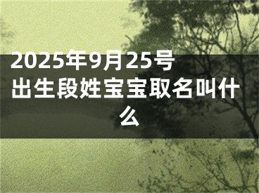 2025年9月25号出生段姓宝宝取名叫什么