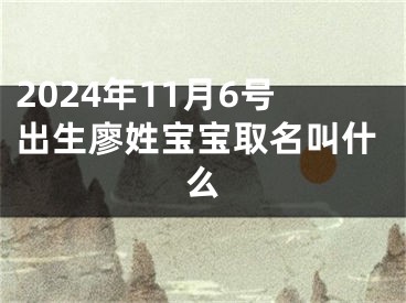2024年11月6号出生廖姓宝宝取名叫什么
