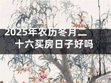 2025年农历冬月二十六买房日子好吗