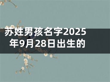 苏姓男孩名字2025年9月28日出生的