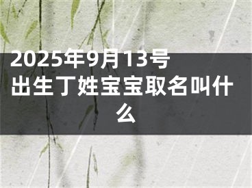 2025年9月13号出生丁姓宝宝取名叫什么