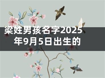 梁姓男孩名字2025年9月5日出生的
