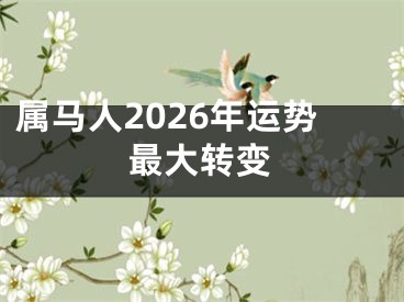 属马人2026年运势最大转变