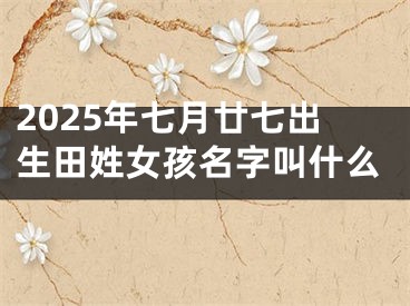 2025年七月廿七出生田姓女孩名字叫什么