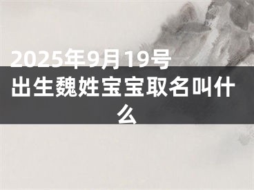2025年9月19号出生魏姓宝宝取名叫什么