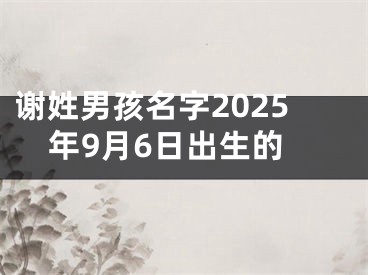 谢姓男孩名字2025年9月6日出生的