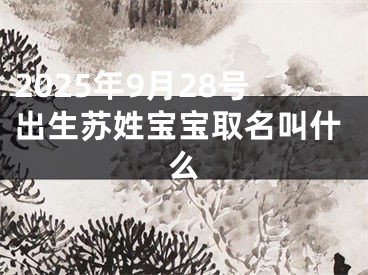 2025年9月28号出生苏姓宝宝取名叫什么