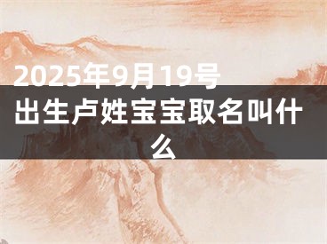 2025年9月19号出生卢姓宝宝取名叫什么