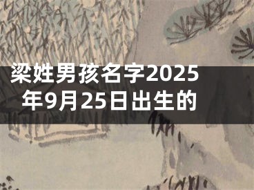 梁姓男孩名字2025年9月25日出生的