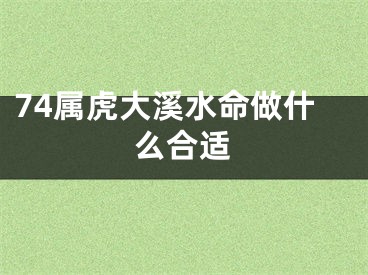 74属虎大溪水命做什么合适
