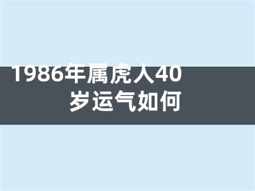 1986年属虎人40岁运气如何