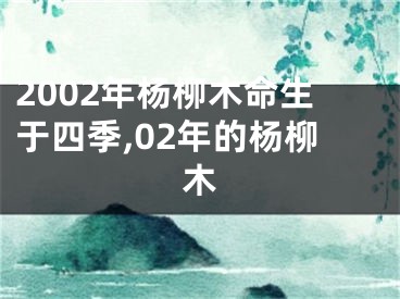 2002年杨柳木命生于四季,02年的杨柳木
