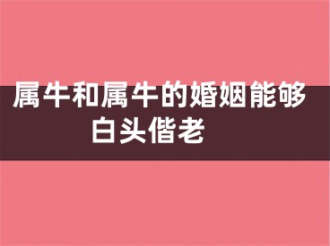 属牛和属牛的婚姻能够白头偕老 