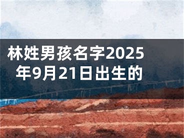 林姓男孩名字2025年9月21日出生的
