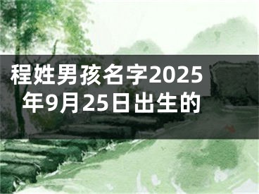 程姓男孩名字2025年9月25日出生的