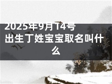 2025年9月14号出生丁姓宝宝取名叫什么