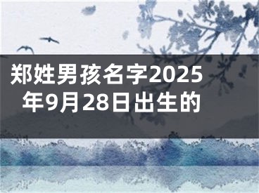 郑姓男孩名字2025年9月28日出生的