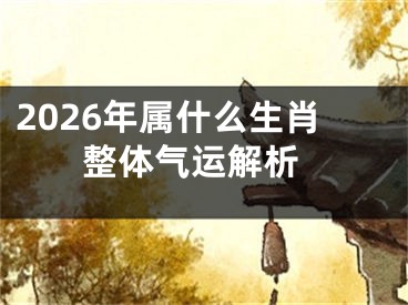 2026年属什么生肖 整体气运解析