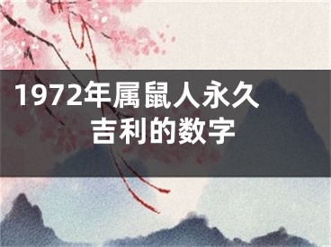 1972年属鼠人永久吉利的数字