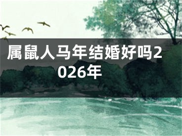 属鼠人马年结婚好吗2026年
