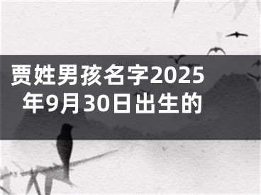 贾姓男孩名字2025年9月30日出生的