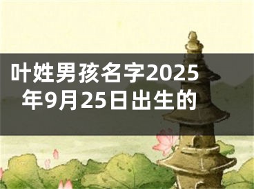 叶姓男孩名字2025年9月25日出生的