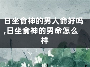 日坐食神的男人命好吗,日坐食神的男命怎么样