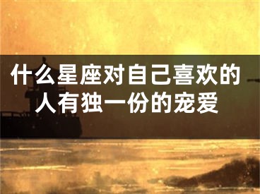什么星座对自己喜欢的人有独一份的宠爱
