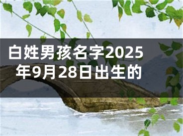 白姓男孩名字2025年9月28日出生的