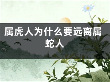 属虎人为什么要远离属蛇人