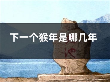 下一个猴年是哪几年