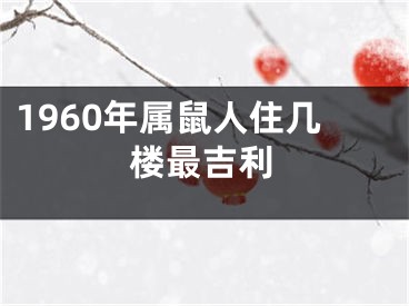 1960年属鼠人住几楼最吉利