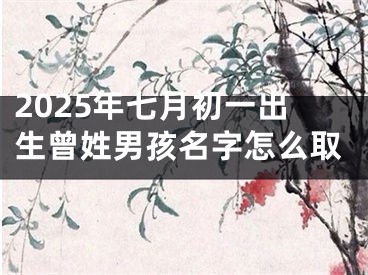 2025年七月初一出生曾姓男孩名字怎么取