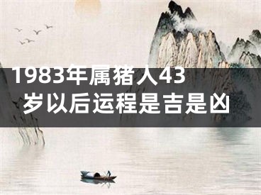1983年属猪人43岁以后运程是吉是凶