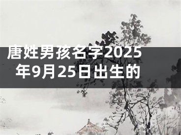 唐姓男孩名字2025年9月25日出生的
