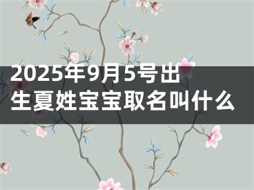 2025年9月5号出生夏姓宝宝取名叫什么