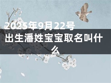2025年9月22号出生潘姓宝宝取名叫什么
