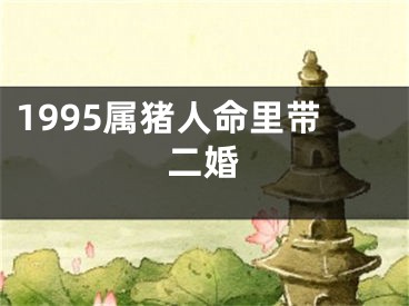 1995属猪人命里带二婚