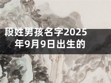 段姓男孩名字2025年9月9日出生的