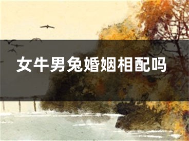 女牛男兔婚姻相配吗