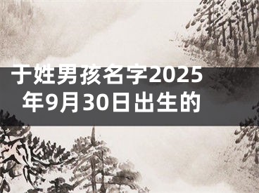 于姓男孩名字2025年9月30日出生的