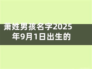 萧姓男孩名字2025年9月1日出生的