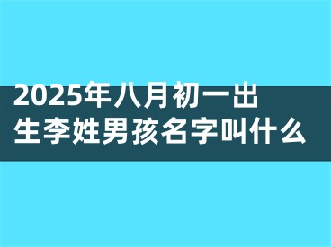 2025年八月初一出生李姓男孩名字叫什么