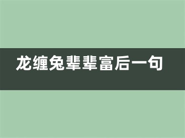 龙缠兔辈辈富后一句